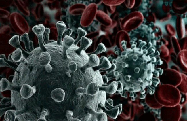 वैज्ञानिक क्यों कर रहे हैं घातक कोरोना वायरस का कल्चर!