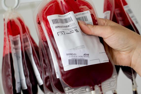 एक अप्रैल से 30 सितंबर तक 78 हजार यूनिट से अधिक रक्तदान, जिले में 756 यूनिट प्लाज्मा कलेक्ट