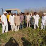 किसान किसानों के समर्थन में ओमप्रकाश ने ने अपनी फसले बर्बाद कर दी