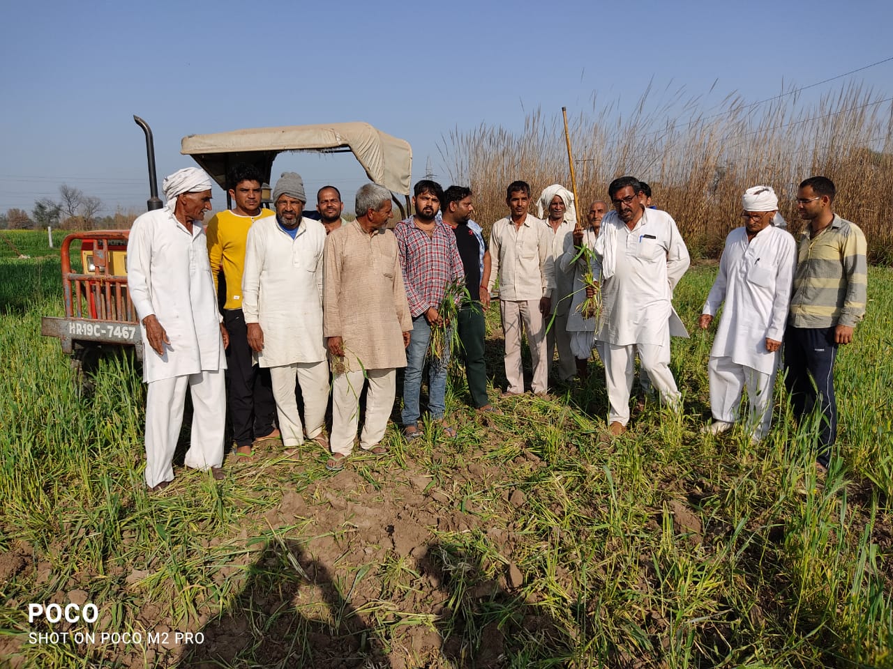 किसान किसानों के समर्थन में ओमप्रकाश ने ने अपनी फसले बर्बाद कर दी