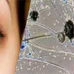 फिर बढ़े ब्लैक फंगस केस