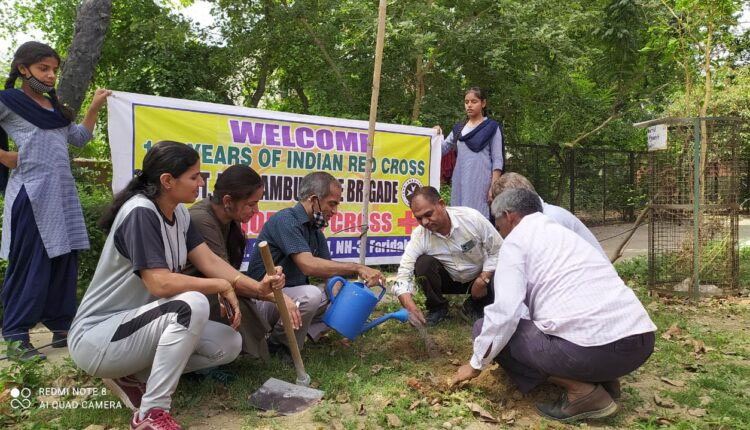 विश्व धरा दिवस – धरा दिवस पर पौधरोपण और पेटिंग प्रतियोगिता