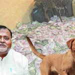एनिमल लवर हैं ममता के मंत्री, एक AC वाला बंगला कुत्तों के नाम कर रखा, ED की जांच में हो रहे चौंकाने वाले खुलासे