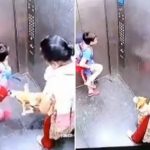 गाजियाबाद में लिफ्ट में बच्चे को कुत्ते ने काटा: दर्द से कराहता रहा बच्चा, चुपचाप खड़ी रही महिला