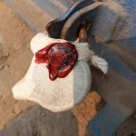 मुख्यमंत्री उड़न दस्ता फरीदाबाद द्वारा गांव जेन्दापुर जिला पलवल में खाद बीज की दुकान पर मारा छापा