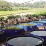 मत्स्य पालन के लिए 2500 व्यक्तियों को दिया जाएगा प्रशिक्षण: श्रीमती रीटा