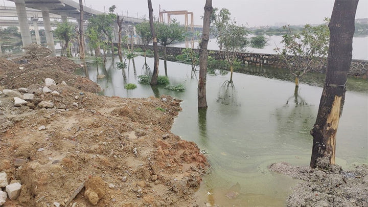 सुप्रीम कोर्ट, लाल किला पानी-पानी : दिल्ली के जलभराव में तीन बच्चों की डूबने से मौत, यमुना 4 दिन से खतरे के निशान के ऊपर