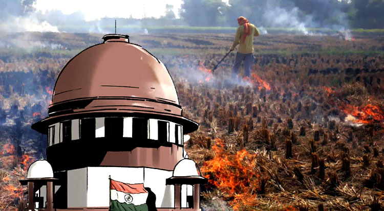 पंजाब में पराली जलाने वालों पर 2 करोड़ जुर्माना, SC ने कहा- किसानों को विलेन न बनाएं