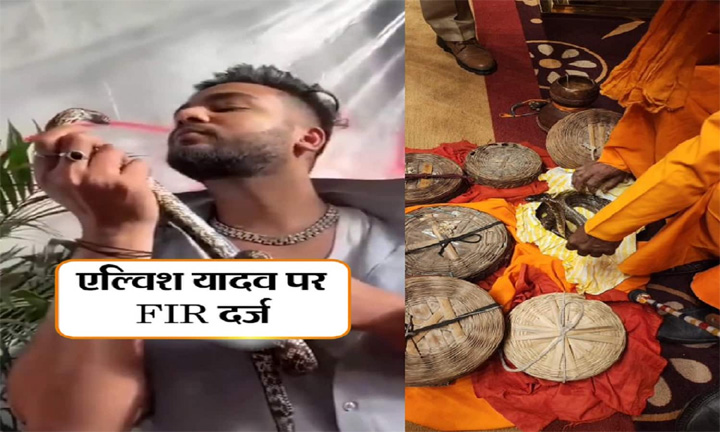 बिग बॉस विनर एल्विश पर सांपों की तस्करी का आरोप