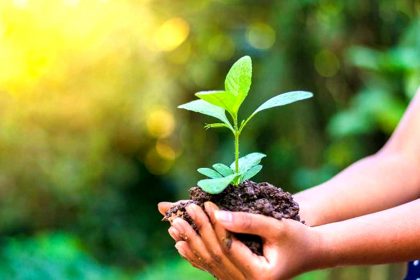 नए साल में पर्यावरण सरंक्षण का संकल्प लें : डॉ प्रशान्त सिन्हा