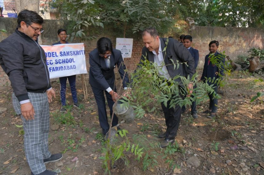 NIT Senior Secondary School