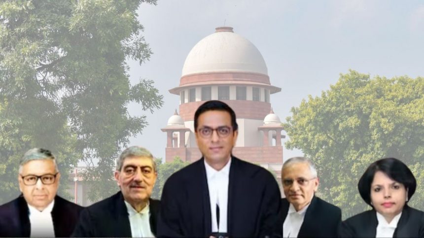 अदालत कोई रेलवे प्लेटफॉर्म नहीं कि किसी भी ट्रेन में चढ़ जाएं : CJI