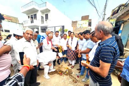 The government has left no stone unturned for the basic development including the renovation of Asia's famous Badkhal Lake: Seema Trikha