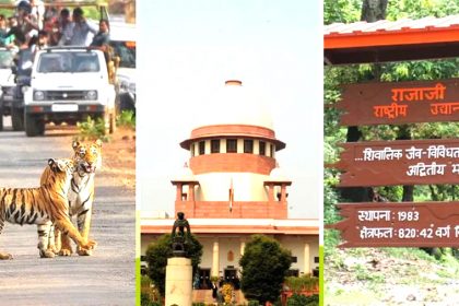 जिम कॉर्बेट में टाइगर सफारी पर सुप्रीम कोर्ट की रोक, CBI से 3 महीने में रिपोर्ट मांगी