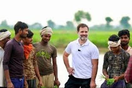 Will give more than 50% reservation: Rahul Gandhi