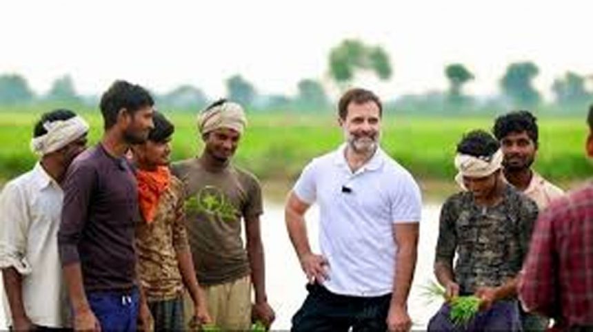 Will give more than 50% reservation: Rahul Gandhi