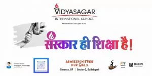 vidyasagar international school 