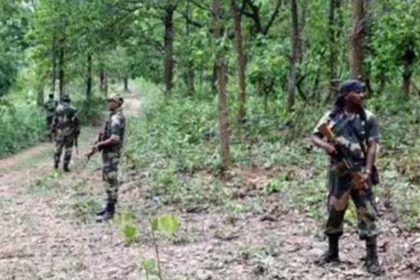 Security forces killed 1 Naxalite in Chhattisgarh