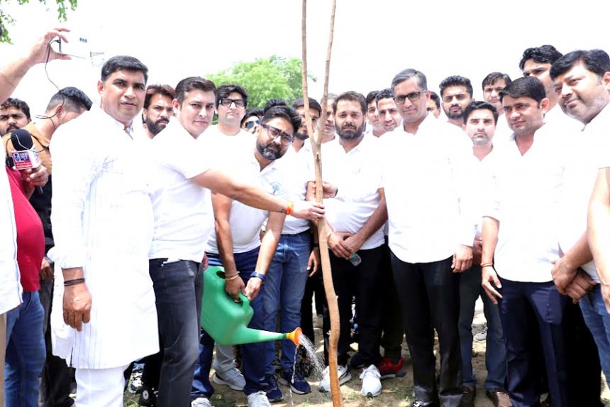 Planting trees is very important to keep the environment pure: Devendra Chaudhary