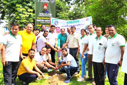 A plant campaign was started in the name of my mother.