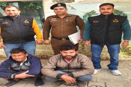 Crime Branch Sector-48 team arrested two accused of vehicle theft and recovered tractor and trolley motorcycle in two theft cases.