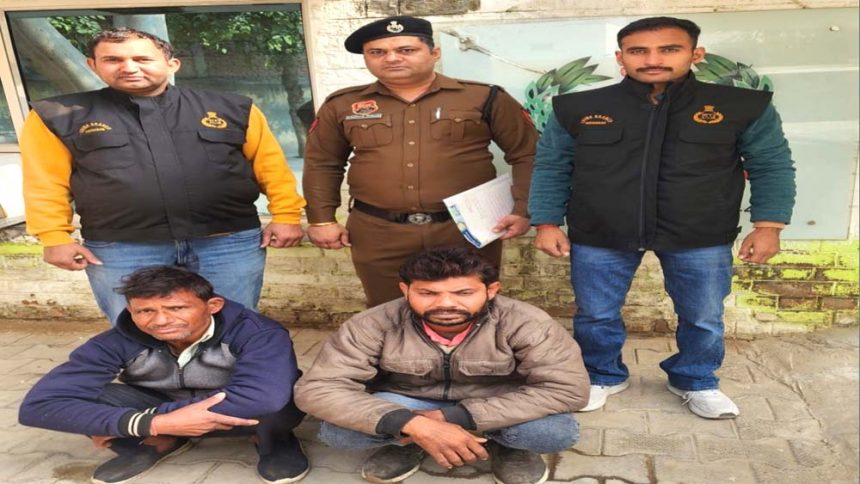 Crime Branch Sector-48 team arrested two accused of vehicle theft and recovered tractor and trolley motorcycle in two theft cases.