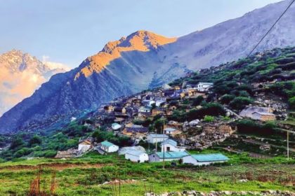 iPhones purchased from forest fund in Uttarakhand