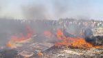 Air Force fighter plane crashes in Shivpuri, MP