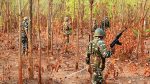 Two encounters, 30 Naxals killed in Chhattisgarh