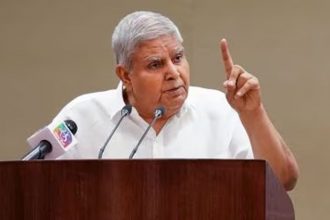 Courts cannot order the President: Vice President