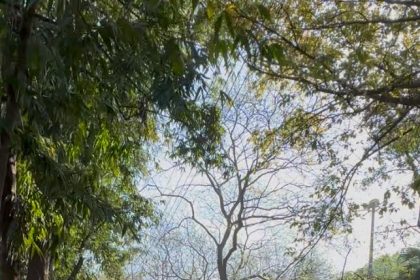 Labor culture is the highest path to national service: Jagdish Chaudhary