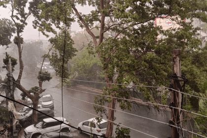 Wind blew at a speed of 50kmph in Delhi-NCR, it rained