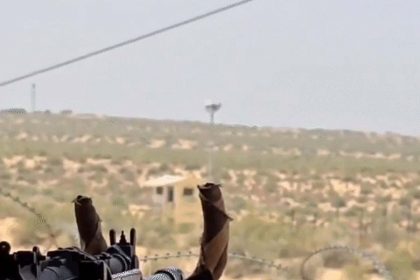 Pakistani intruder killed on Gujarat border