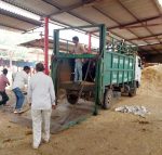 Faridabad: Cows are an integral part of our culture: Vipul Goyal