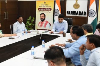 If a stray animal is found roaming in public places, ensure that it is taken to the designated places or cow shelters as per the rules: DC