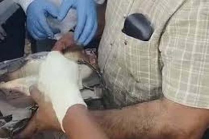 800 grams of gold found from the site of Ahmedabad plane crash