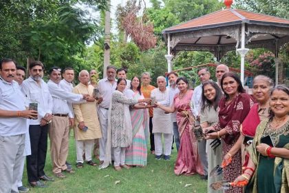 Plantation was done in the green belt of Sector 3, Faridabad