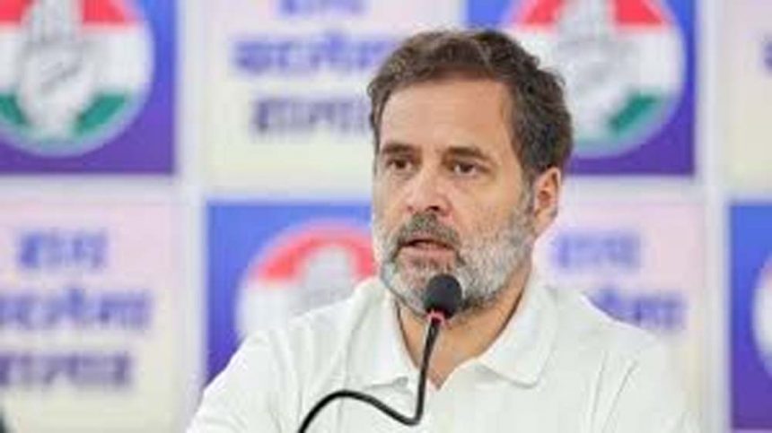 Make in India is actually Assembled in India: Rahul