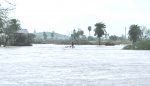 13 died due to flood and lightning in Bihar: 7 died in Rajasthan