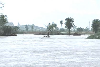 13 died due to flood and lightning in Bihar: 7 died in Rajasthan