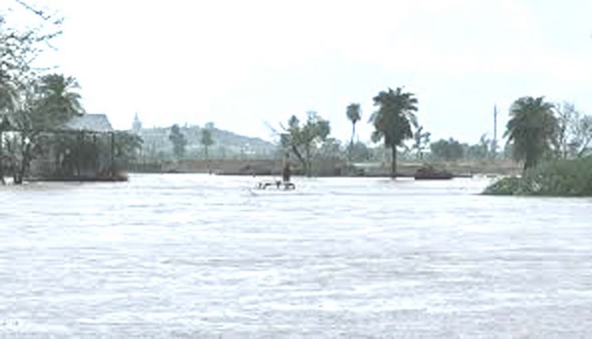 13 died due to flood and lightning in Bihar: 7 died in Rajasthan
