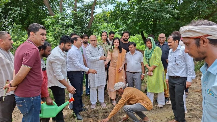 Vikas Purush Tree Man Moolchand Sharma launched plantation campaign in Ballabhgarh
