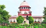 Catch and sterilize dogs in Delhi-NCR: Supreme Court