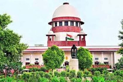 Catch and sterilize dogs in Delhi-NCR: Supreme Court