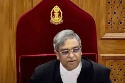 Justice Nath said- stray dogs made us famous all over the world