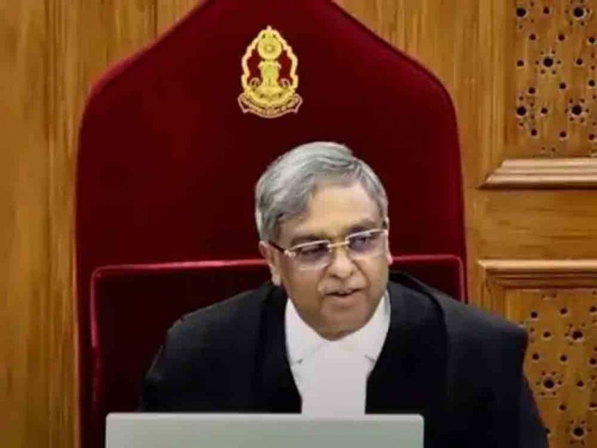 Justice Nath said- stray dogs made us famous all over the world