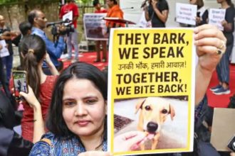 Supreme Court said- sterilize and vaccinate stray dogs and then release them