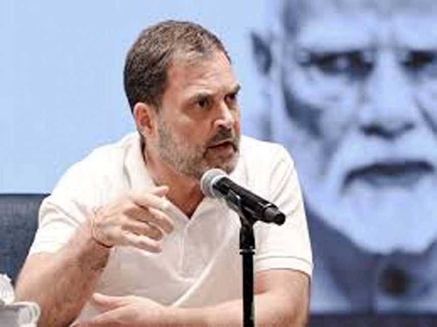 Dumb animals are not a problem, removing them is cruelty: Rahul