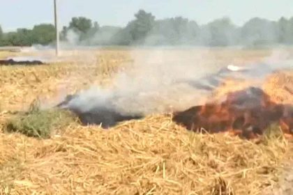 Supreme Court said – why are those burning stubble not arrested: fine is insufficient