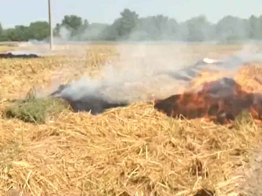 Supreme Court said – why are those burning stubble not arrested: fine is insufficient